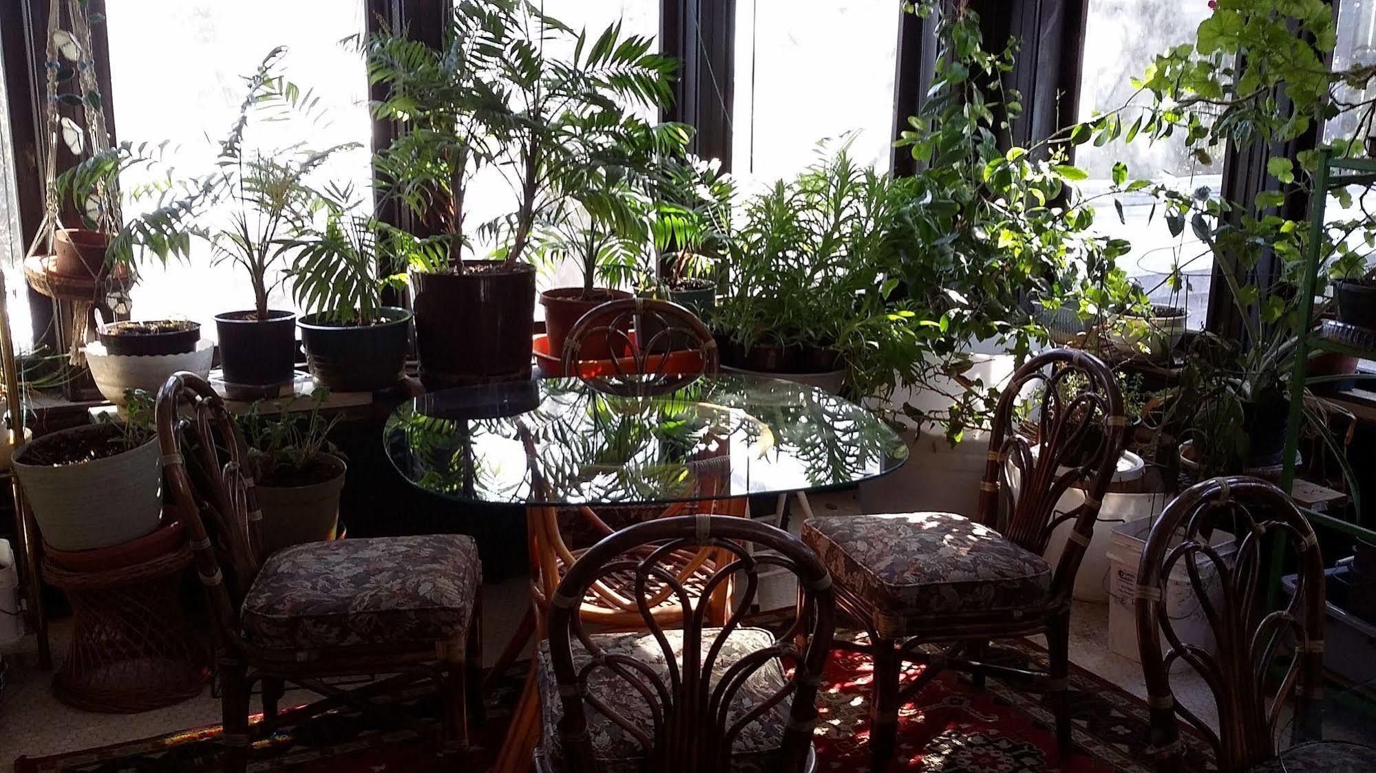 Chestnut Charm Bed & Breakfast Atlantic Buitenkant foto